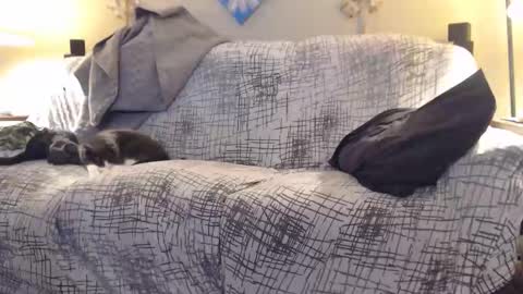 Snapshot of puff0169 chatting on February 12, 7:25 am puff0169 online show from February 12, 7:25 am