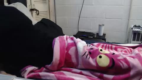 Snapshot of puff0169 chatting on March 15, 3:56 am puff0169 online show from March 15, 3:56 am