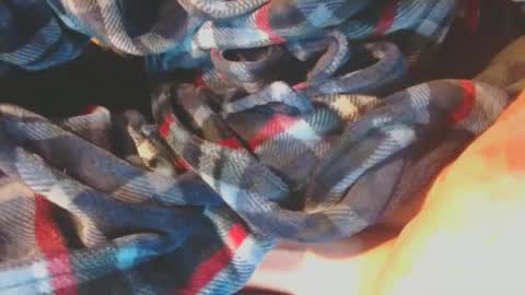 Pup Scrote online show from January 17, 3:12 am