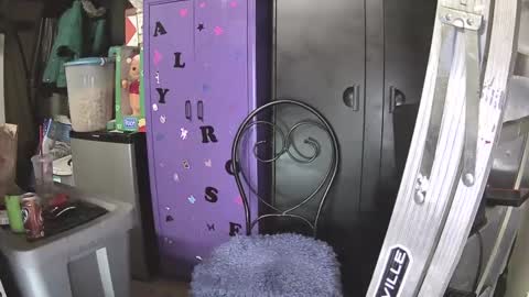 Mark online show from December 7, 10:23 am