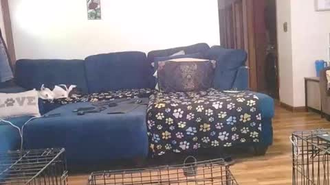 Mark online show from October 1, 2:45 pm