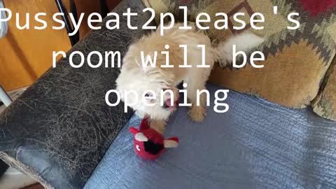 Snapshot of pussyeat2please chatting on March 2, 7:43 am Rick online show from March 2, 7:43 am