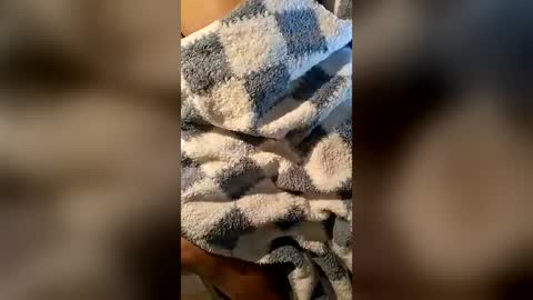 pussyeater420696953 online show from June 16, 6:38 am