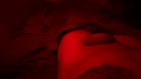 Pussylicker online show from March 30, 7:04 pm