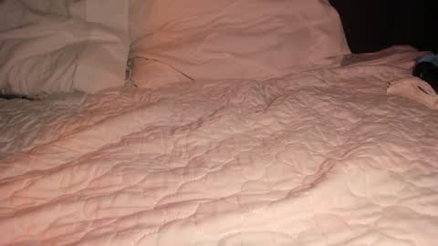 Snapshot of pvssi_ chatting on January 26, 4:41 am Sophy online show from January 26, 4:41 am