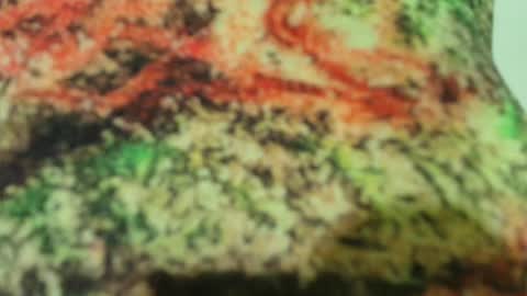 Snapshot of pvssi_ chatting on February 16, 2:31 am Sophy online show from February 16, 2:31 am