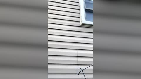 pyrex8 online show from April 11, 11:36 am