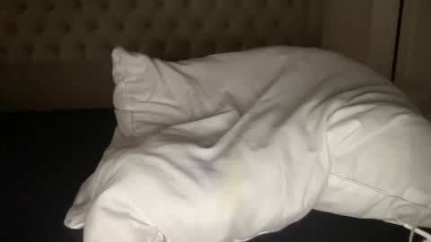 Snapshot of qlf0506 chatting on November 12, 2:01 am qlf0506 online show from November 12, 2:01 am