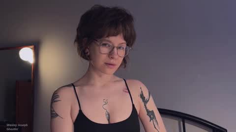 Snapshot of quack__quack chatting on November 11, 3:23 pm online show from November 11, 3:23 pm