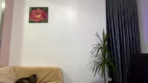 Snapshot of queen_chatur chatting on January 28, 12:32 pm Viktoria online show from January 28, 12:32 pm