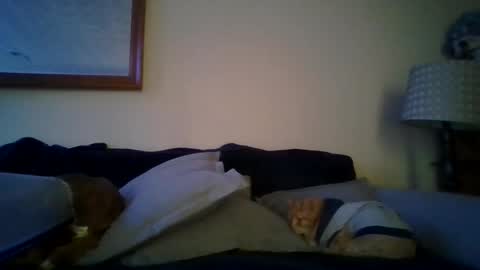 Snapshot of queenbee6269 chatting on February 6, 5:51 pm queenbee6269 online show from February 6, 5:51 pm