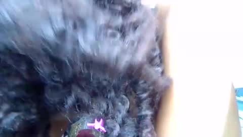 Quincy online show from March 28, 2:11 am