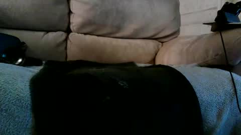 Snapshot of r3710 chatting on December 10, 6:28 pm Bi daddy online show from December 10, 6:28 pm