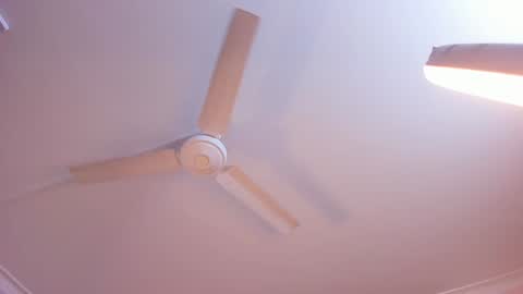 Rachel online show from January 3, 11:14 am