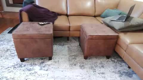 Snapshot of raffertynow chatting on February 7, 2:59 am DressSock Shoe online show from February 7, 2:59 am