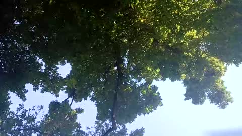 Snapshot of ragingzef69 chatting on February 2, 6:26 am Bigthickdickinvic online show from February 2, 6:26 am