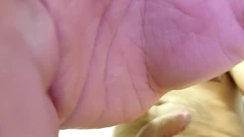 Snapshot of raidehot chatting on October 21, 11:44 am raidehot online show from October 21, 11:44 am