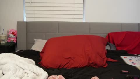 Snapshot of ramichick chatting on January 15, 7:44 pm Rami online show from January 15, 7:44 pm