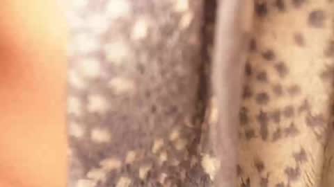 Snapshot of ramichick chatting on February 17, 4:42 am Rami online show from February 17, 4:42 am