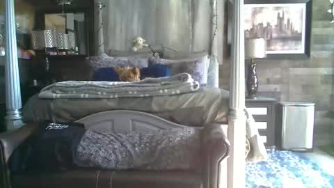 Snapshot of randybater8in chatting on January 18, 8:12 pm Randy8inbater online show from January 18, 8:12 pm