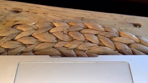 Rasssss online show from February 19, 2:23 pm