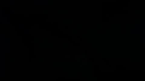 Ray  online show from January 25, 2:47 am