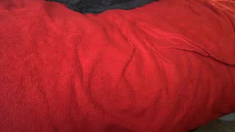 raymondo1964 online show from November 12, 11:47 pm