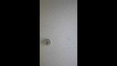 razalgirls online show from March 3, 9:21 pm