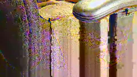 rb69er905364 online show from September 10, 6:30 pm