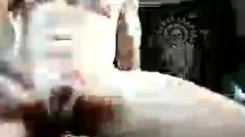 reade19844 online show from July 7, 4:04 am