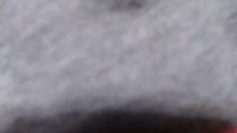 Snapshot of ready2fuk647232 chatting on November 2, 9:44 am ready2fuk647232 online show from November 2, 9:44 am