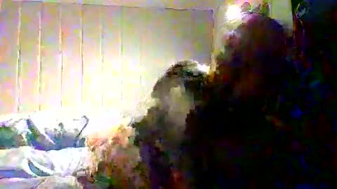 Snapshot of real_viking1 chatting on November 22, 8:13 am real_viking1 online show from November 22, 8:13 am