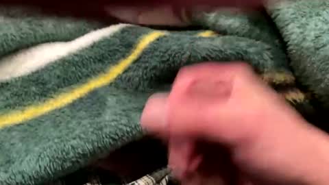 realbigload77 online show from February 24, 4:32 am