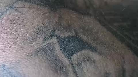 realrubpirate online show from November 2, 6:38 am