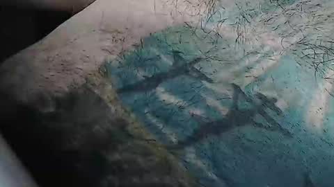 realrubpirate online show from February 9, 9:13 am