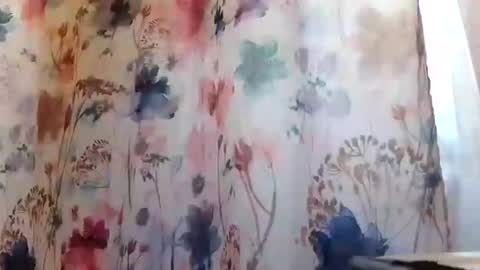 Snapshot of recka810 chatting on February 20, 9:42 pm recka810 online show from February 20, 9:42 pm