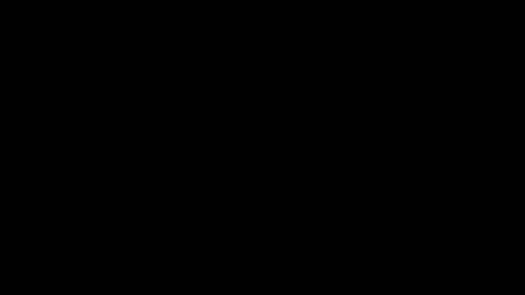 Neta online show from October 24, 12:41 am