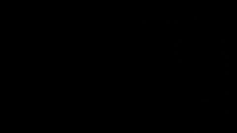 Neta online show from October 25, 1:13 am