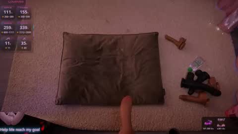 Redhead Shark online show from January 9, 1:14 pm