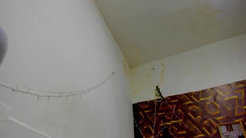 reed_kitty online show from December 15, 12:42 pm