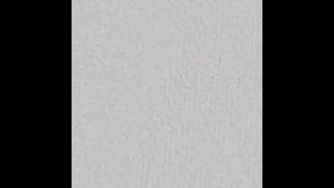 Renae Tom online show from October 28, 11:25 am