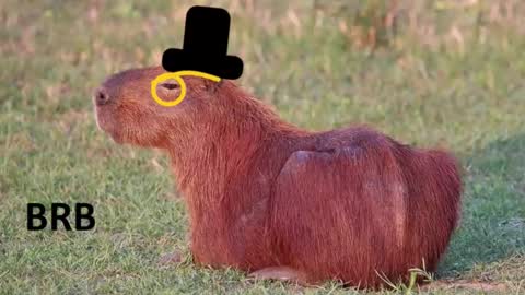 Chris online show from February 16, 7:21 pm