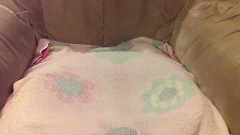 Mark online show from September 17, 5:47 pm