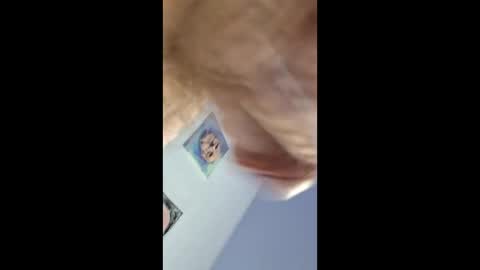 ridik2222333375562 online show from May 27, 2:52 am