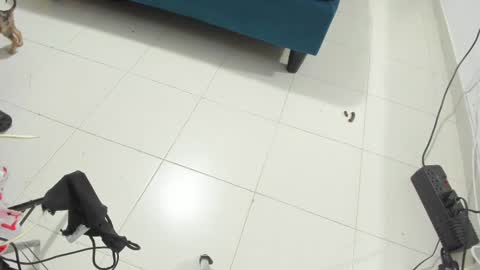 Rihanna hotx online show from November 12, 2:56 am