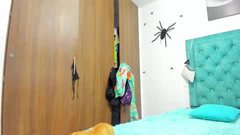 Rihanna hotx online show from November 20, 9:20 am