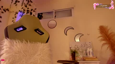 Snapshot of riiley_ chatting on December 17, 9:07 am Independent model online show from December 17, 9:07 am