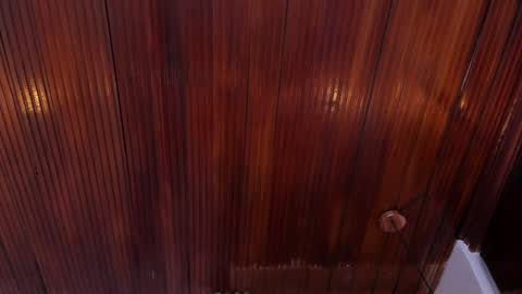 kamila online show from January 10, 2:13 pm