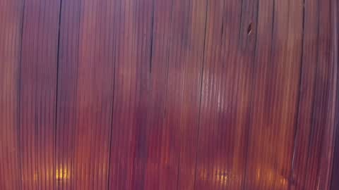 kamila online show from February 3, 2:45 pm