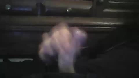 rlpl online show from February 15, 5:42 pm